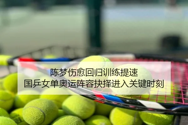 陈梦伤愈回归训练提速 国乒女单奥运阵容抉择进入关键时刻